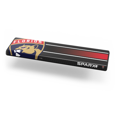 NHL Custom Overlay - Florida Panthers - Holiday img